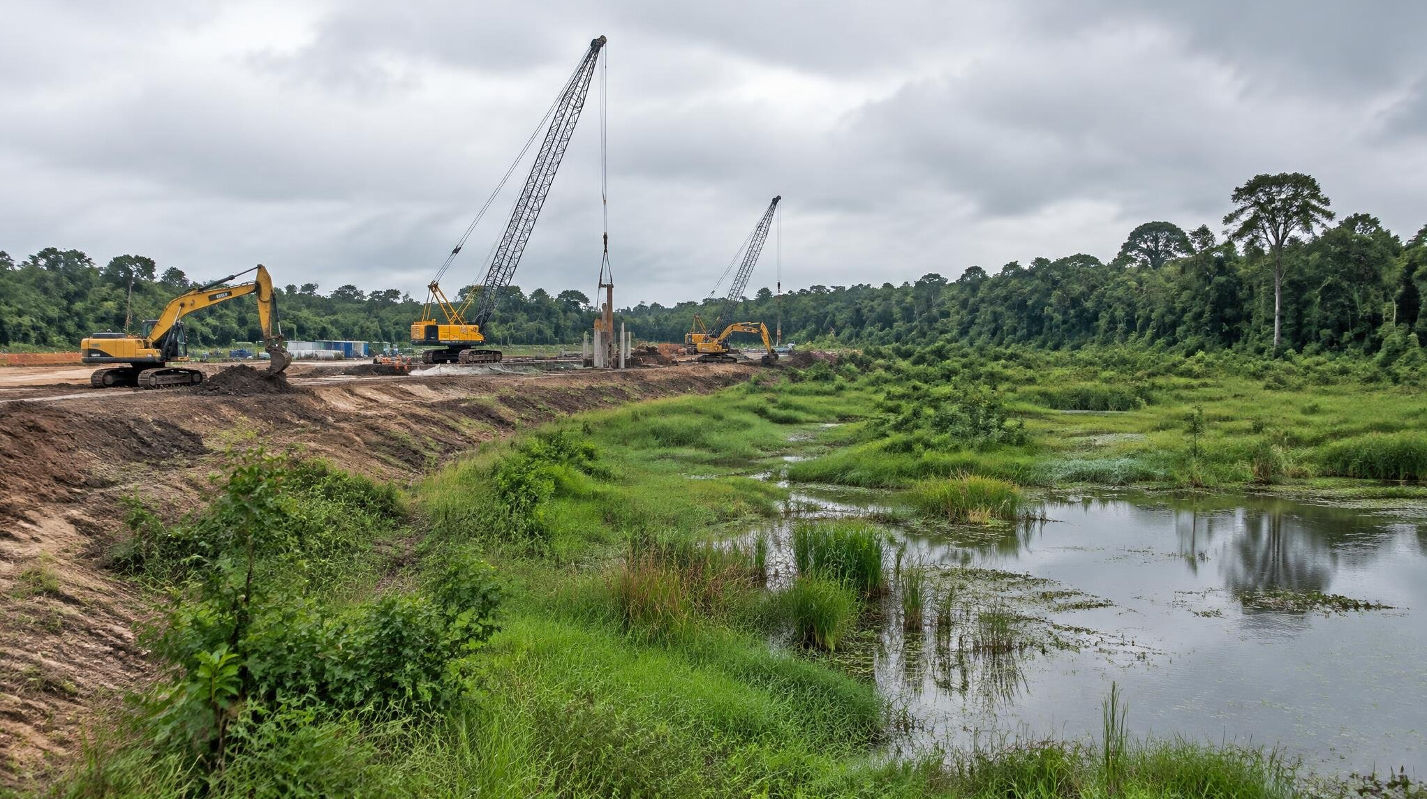 Construction site with cranes and excavators at the edge of a wetland area